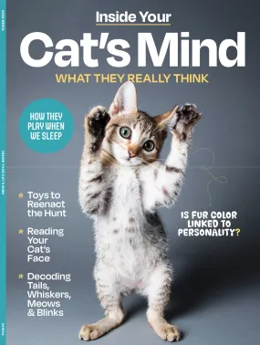 Inside Your Cat's Mind - Reading Cat's Face, Decoding Tails, Whiskers, Blinks, Meow Meaning, How To Play, Sleeping, Catnip, Traning, Intelligence Test, Senses & Is Fur Color Linked To Personality?