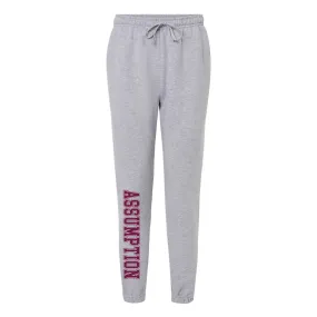 Sweatpants - Joggers - Grey - Assumption